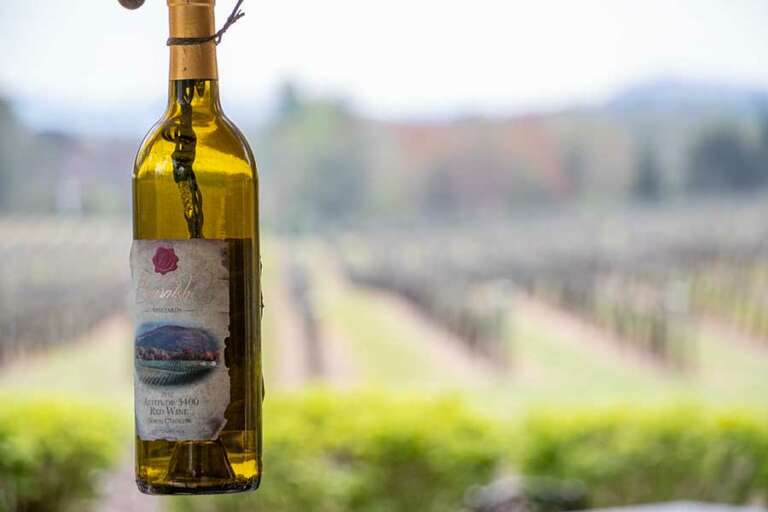 Hendersonville Wine Tours Quality, Luxurious, and Affordable Winery